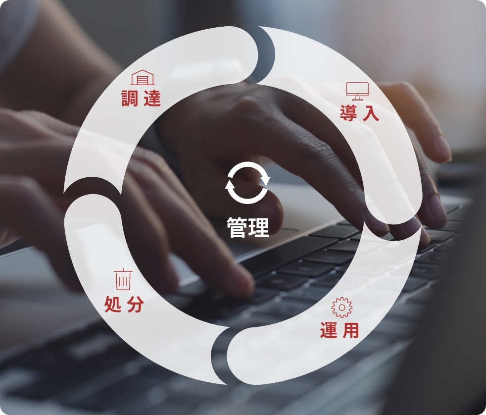 Assist Plus の強み